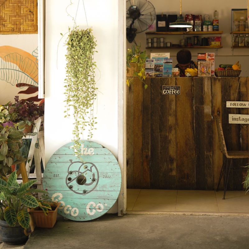 Mostrador de una tienda pequeña con plantas y productos
